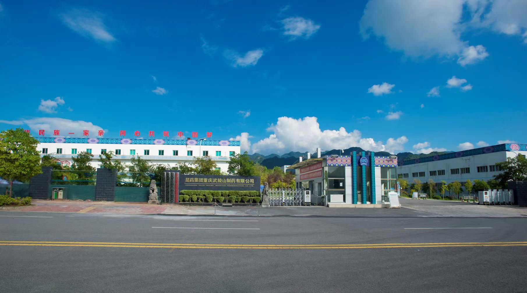 華潤三九(酉陽)制藥有限公司